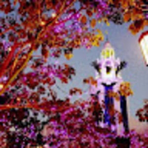 Meet your Posher, Jon